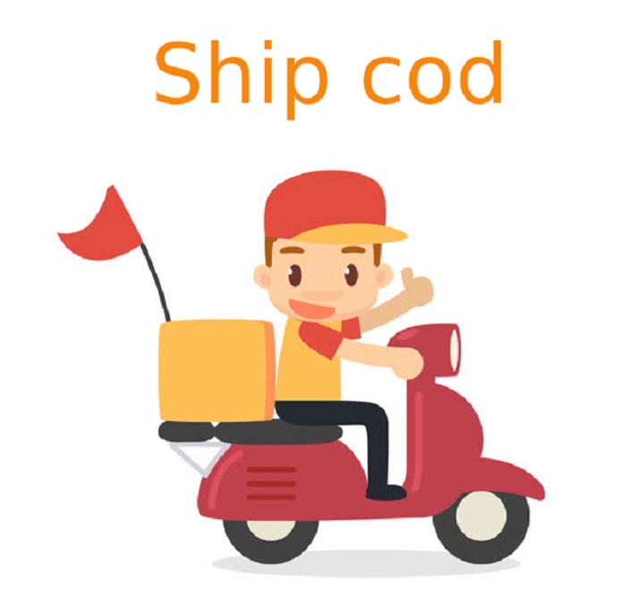 Dịch vụ Ship COD rẻ và uy tín nhất tại Hà Nội hiện nay