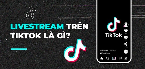 Tất tần tật về quy định live tiktok. Nhiều điều bạn còn chưa biết!